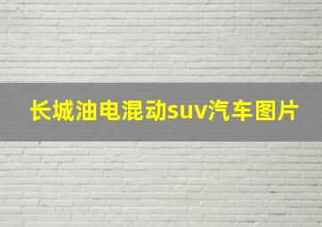 长城油电混动suv汽车图片