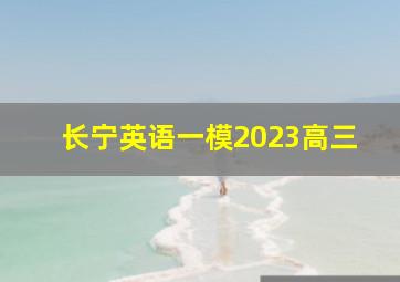 长宁英语一模2023高三