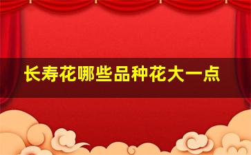 长寿花哪些品种花大一点