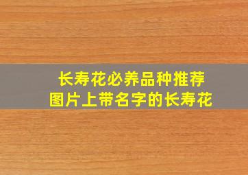 长寿花必养品种推荐图片上带名字的长寿花