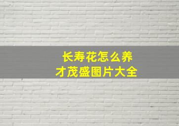 长寿花怎么养才茂盛图片大全