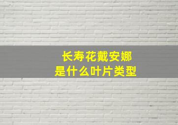 长寿花戴安娜是什么叶片类型