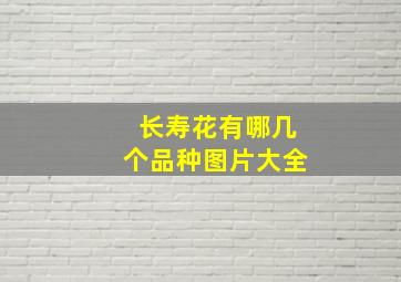 长寿花有哪几个品种图片大全