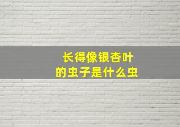 长得像银杏叶的虫子是什么虫