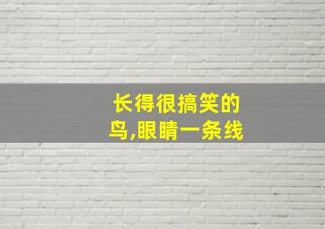 长得很搞笑的鸟,眼睛一条线