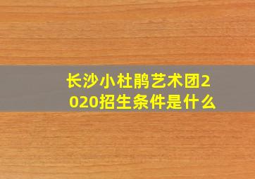 长沙小杜鹃艺术团2020招生条件是什么