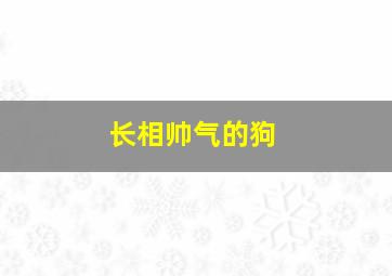 长相帅气的狗