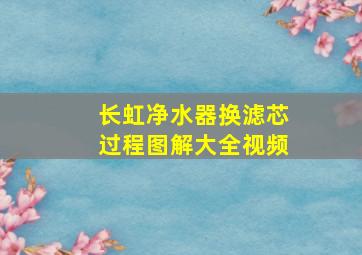 长虹净水器换滤芯过程图解大全视频