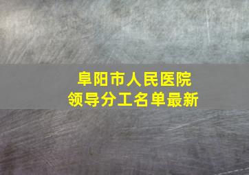 阜阳市人民医院领导分工名单最新