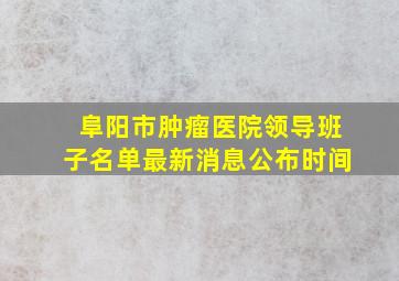 阜阳市肿瘤医院领导班子名单最新消息公布时间