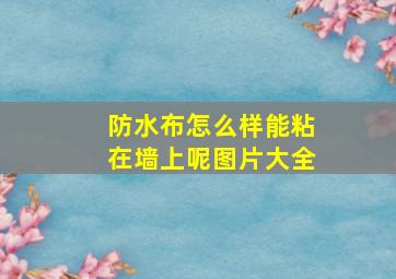 防水布怎么样能粘在墙上呢图片大全