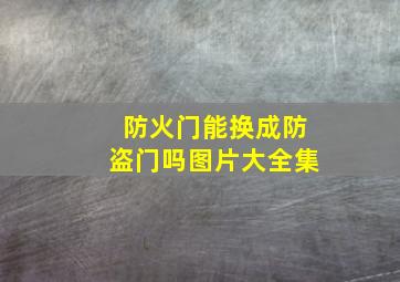 防火门能换成防盗门吗图片大全集