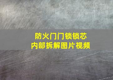 防火门门锁锁芯内部拆解图片视频