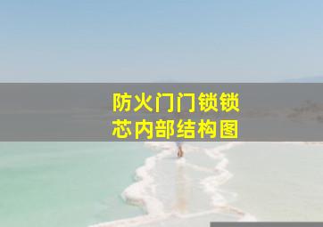 防火门门锁锁芯内部结构图