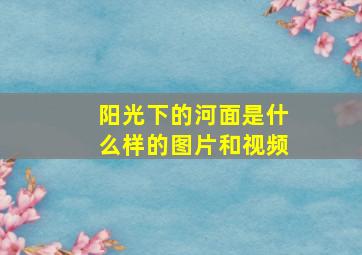 阳光下的河面是什么样的图片和视频