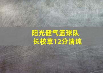 阳光健气篮球队长校草12分清纯