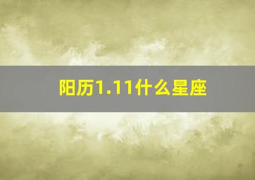 阳历1.11什么星座