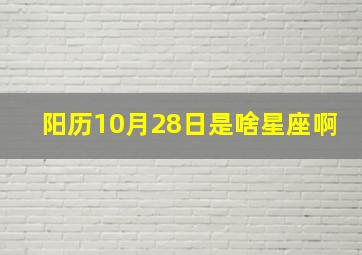 阳历10月28日是啥星座啊