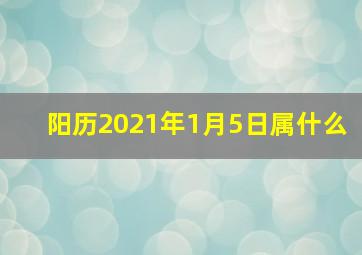 阳历2021年1月5日属什么