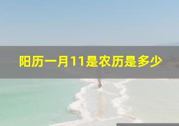 阳历一月11是农历是多少