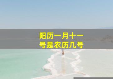 阳历一月十一号是农历几号