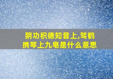 阴功积德知音上,驾鹤携琴上九皂是什么意思