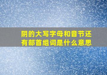 阴的大写字母和音节还有部首组词是什么意思