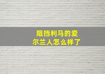 阻挡利马的爱尔兰人怎么样了