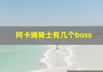 阿卡姆骑士有几个boss