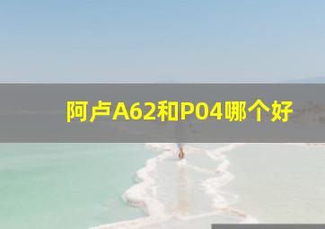 阿卢A62和P04哪个好