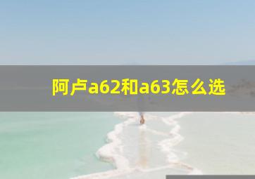 阿卢a62和a63怎么选