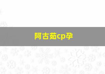 阿古茹cp孕