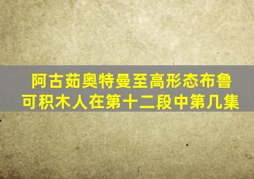 阿古茹奥特曼至高形态布鲁可积木人在第十二段中第几集