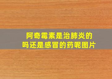 阿奇霉素是治肺炎的吗还是感冒的药呢图片