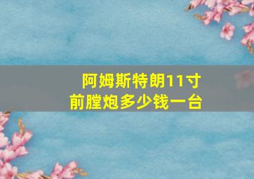 阿姆斯特朗11寸前膛炮多少钱一台