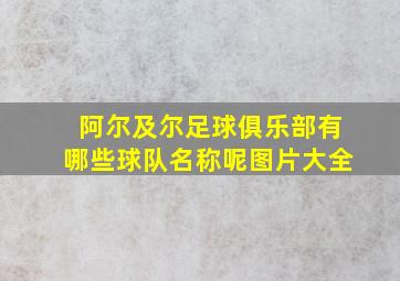 阿尔及尔足球俱乐部有哪些球队名称呢图片大全