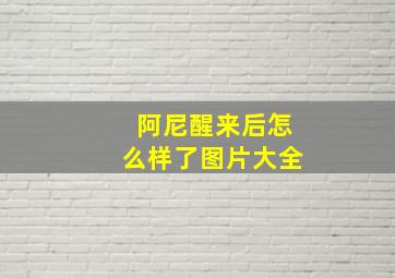 阿尼醒来后怎么样了图片大全