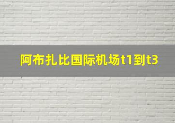 阿布扎比国际机场t1到t3