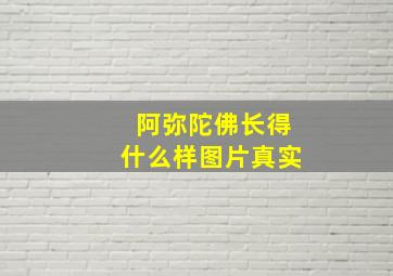 阿弥陀佛长得什么样图片真实