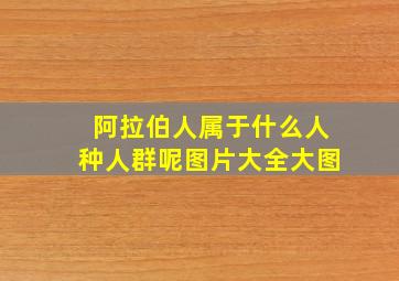 阿拉伯人属于什么人种人群呢图片大全大图