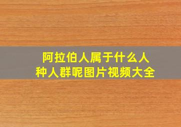 阿拉伯人属于什么人种人群呢图片视频大全