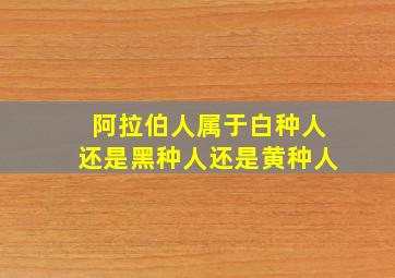 阿拉伯人属于白种人还是黑种人还是黄种人