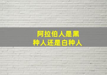 阿拉伯人是黑种人还是白种人