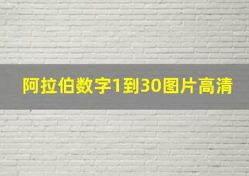 阿拉伯数字1到30图片高清