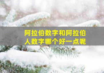 阿拉伯数字和阿拉伯人数字哪个好一点呢