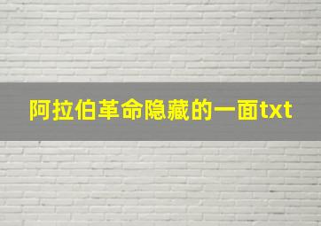 阿拉伯革命隐藏的一面txt