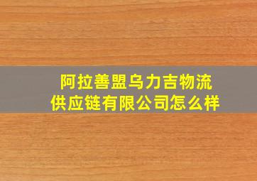 阿拉善盟乌力吉物流供应链有限公司怎么样