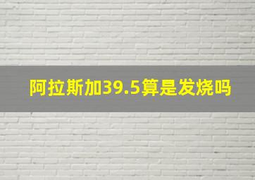 阿拉斯加39.5算是发烧吗