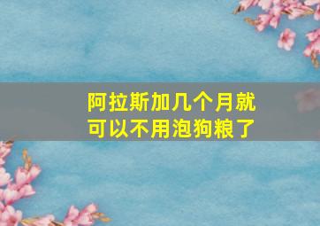 阿拉斯加几个月就可以不用泡狗粮了