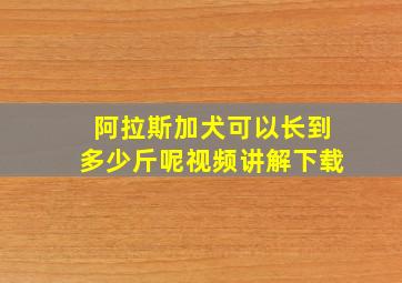 阿拉斯加犬可以长到多少斤呢视频讲解下载